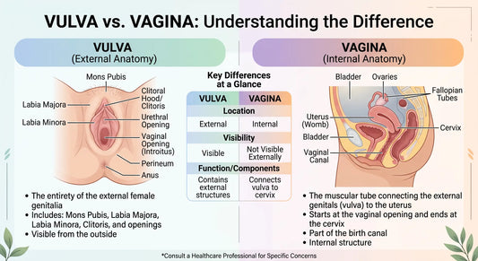 Vulva vs. Vagina: What's the Difference? A Simple Guide