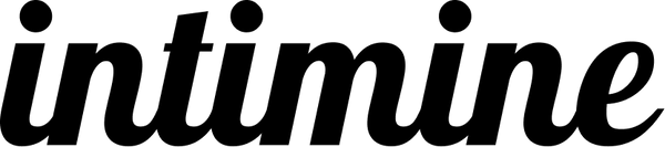 Intimine Pakistan Logo